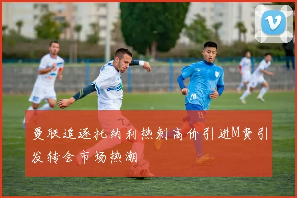 曼联追逐托纳利热刺高价引进M费引发转会市场热潮